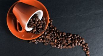 Energia sin dal mattino senza necessità di caffè: le opzioni alternative (alcune sono davvero insolite)