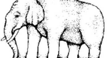 Ti sembra un’immagine normale questa, giusto? E invece no: guardala bene