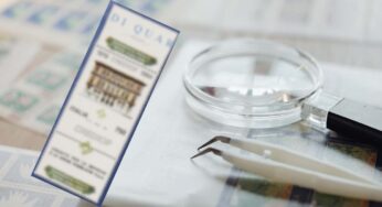 Questo francobollo italiano oggi vale oltre 9.000€: è un cimelio, perché vale tanto