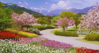 Magnolie, tulipani e roseti questo parco italiano é uno spettacolo: al tramonto ti godi un paradiso