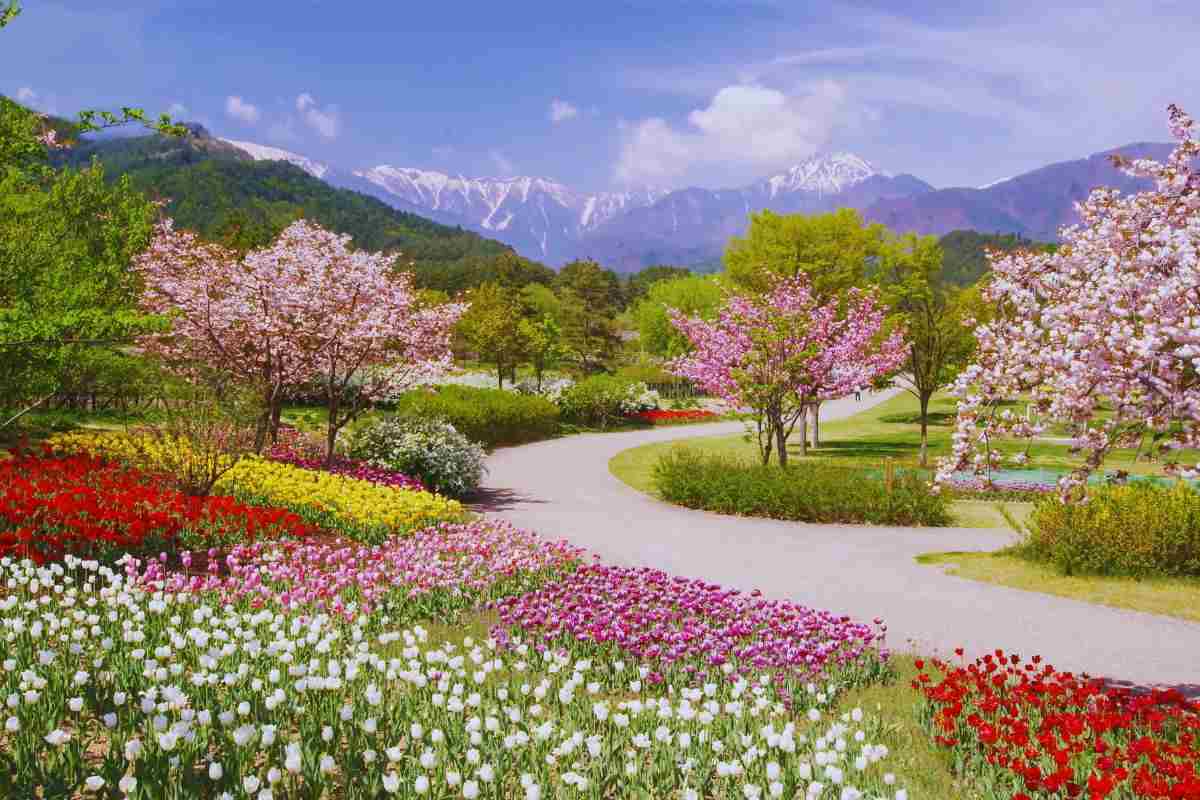Magnolie, tulipani e roseti questo parco italiano é uno spettacolo: al tramonto ti godi un paradiso