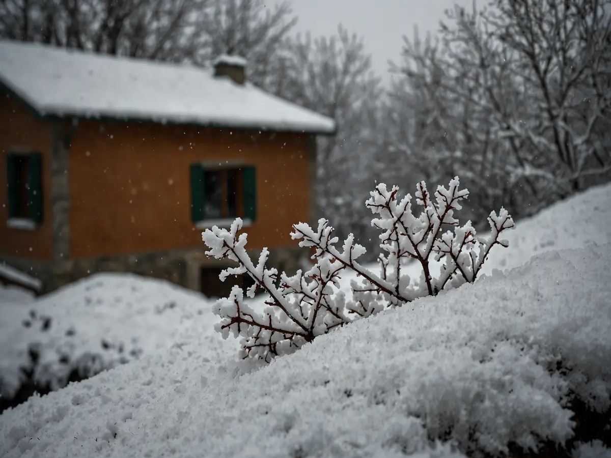 L'uomo che fotografava i fiocchi di neve: la vita ossessiva di Wilson Bentley.